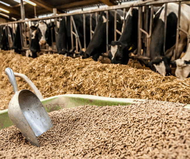 Product types - PINE AGRIVIT LTD